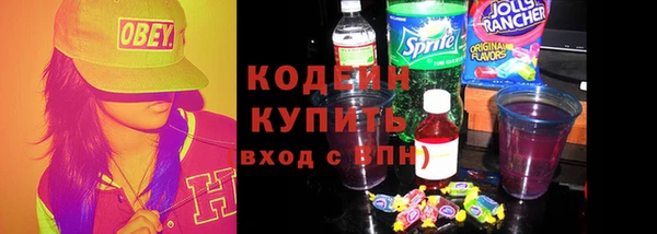 ПСИЛОЦИБИНОВЫЕ ГРИБЫ Арсеньев