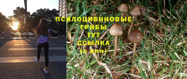 ПСИЛОЦИБИНОВЫЕ ГРИБЫ Арсеньев