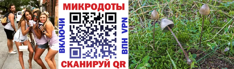 Псилоцибиновые грибы GOLDEN TEACHER Купить закладки Артёмовский